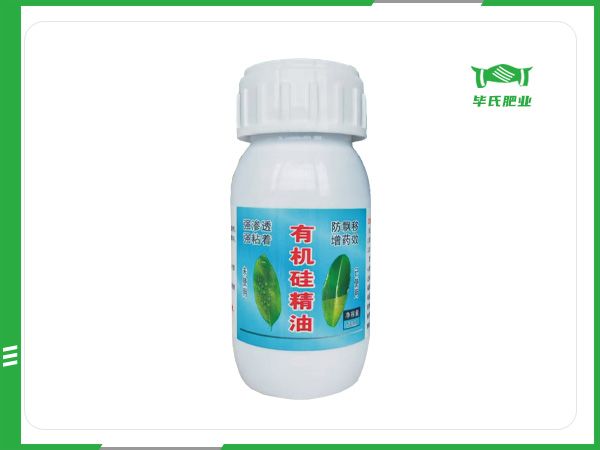 有機(jī)硅精油